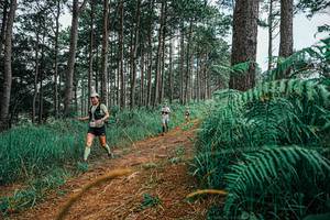 BIB: 
                            <button type="button" onclick="openModal(25689504)" class="btn btn-primary btn-sm float-right btn-popup" data-toggle="modal" data-target=".modal-high-quality">
                        <i class="fas fa-shopping-cart"></i> Add to Cart
                    </button>
                                            <button type="button" onclick="isThisMe(25689504, true)" class="btn btn-success btn-sm float-right btn-popup btn-isme hidden" data-toggle="tooltip" data-placement="bottom" title="นี่คือรูปของคุณใช่ไหม คลิกที่นี่เพื่อเอาเข้าอัลบั้ม">
                        <i class="fas fa-plus"></i> Add to album
                    </button>
                    <button type="button" onclick="isThisMe(25689504, false)" class="btn btn-warning btn-sm float-right btn-popup btn-isnotme hidden">
                        <i class="fas fa-ban"></i> Remove from album
                    </button>